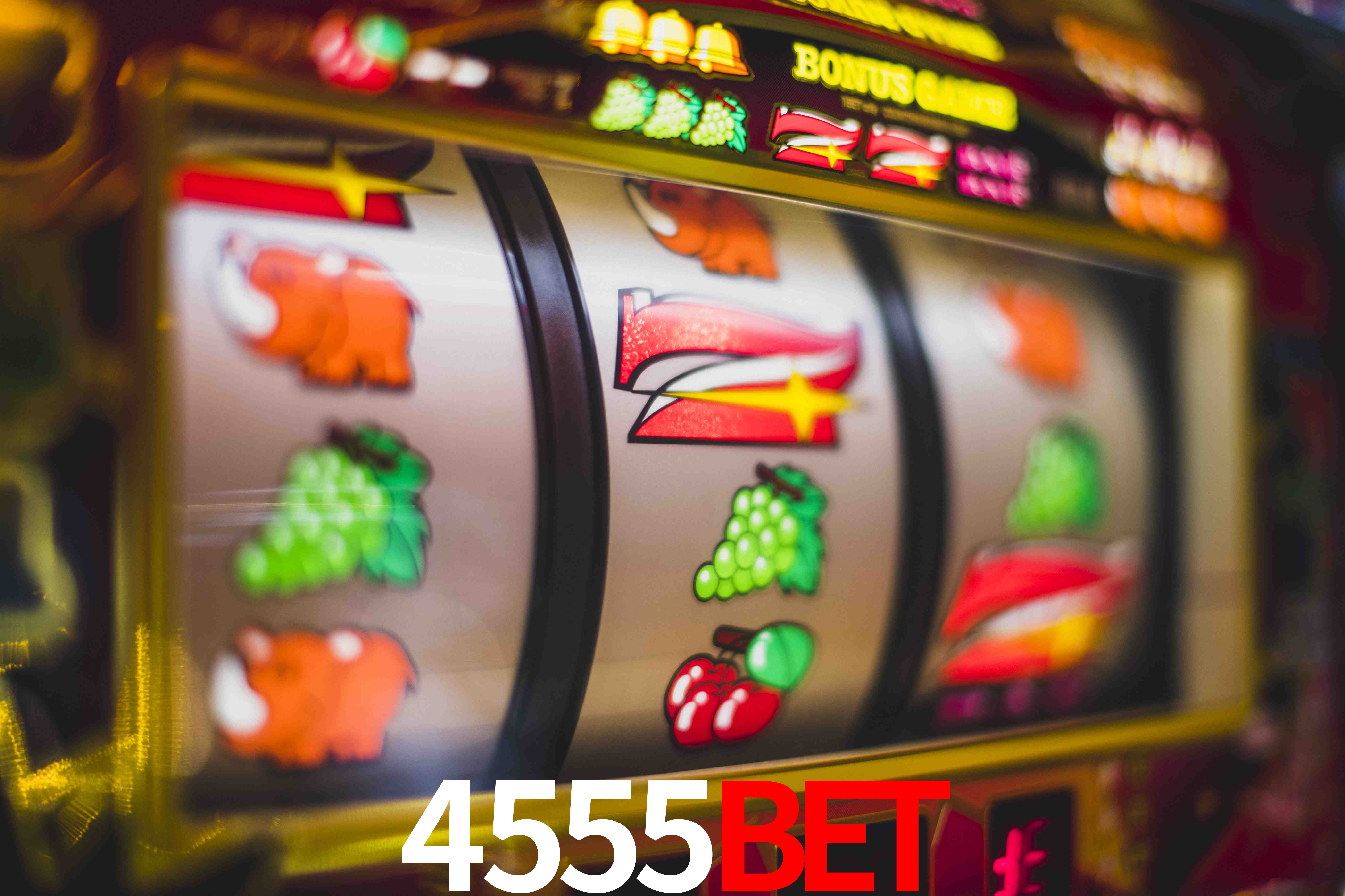 Tennis Betting 4555bet